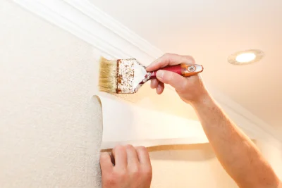 Pose de papier peint à Plassay — revêtements muraux et toiles de verre